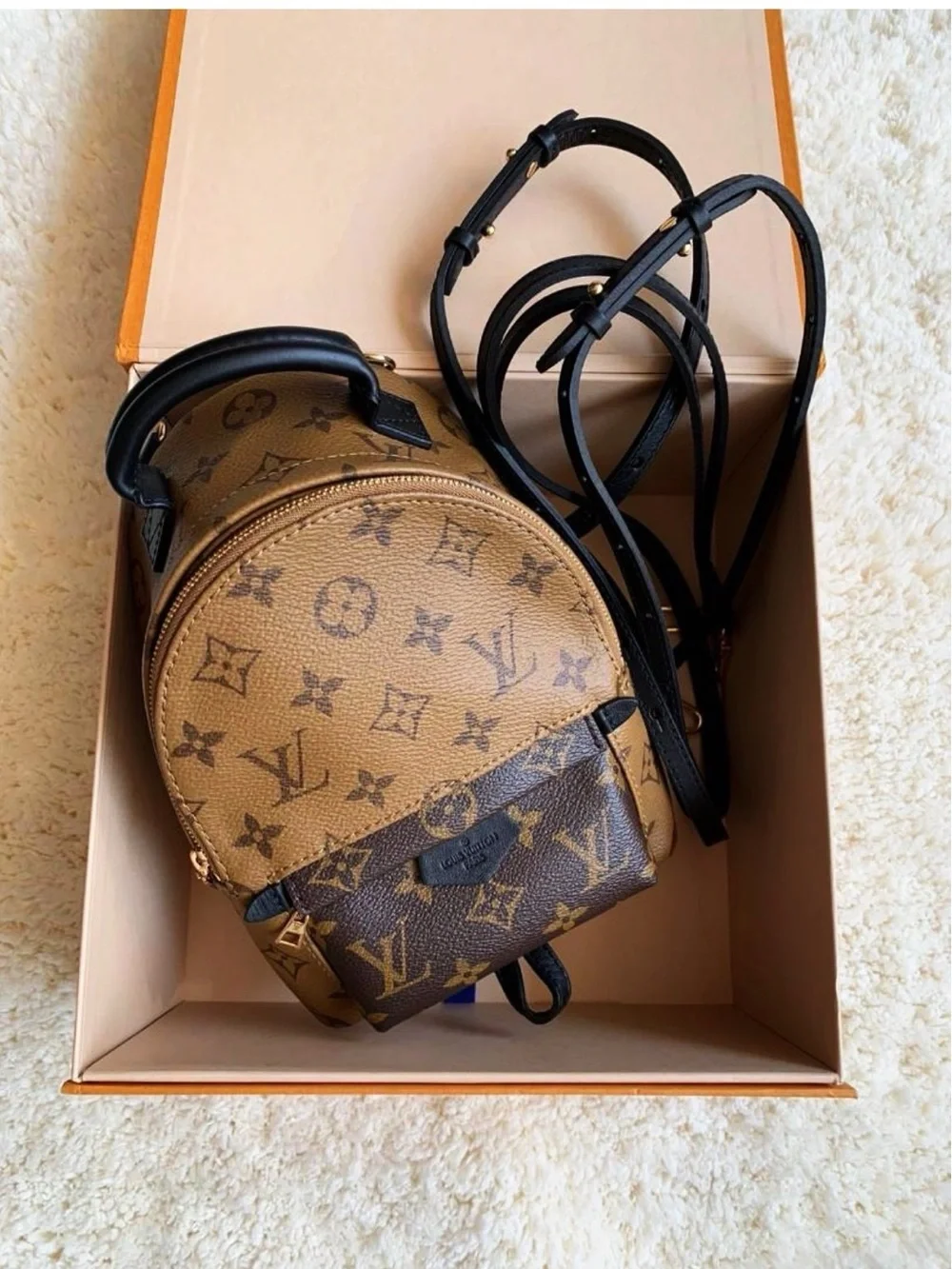 Authentic Louis Vuitton Reverse Monogram Palm Springs Mini Backpack / Bag
